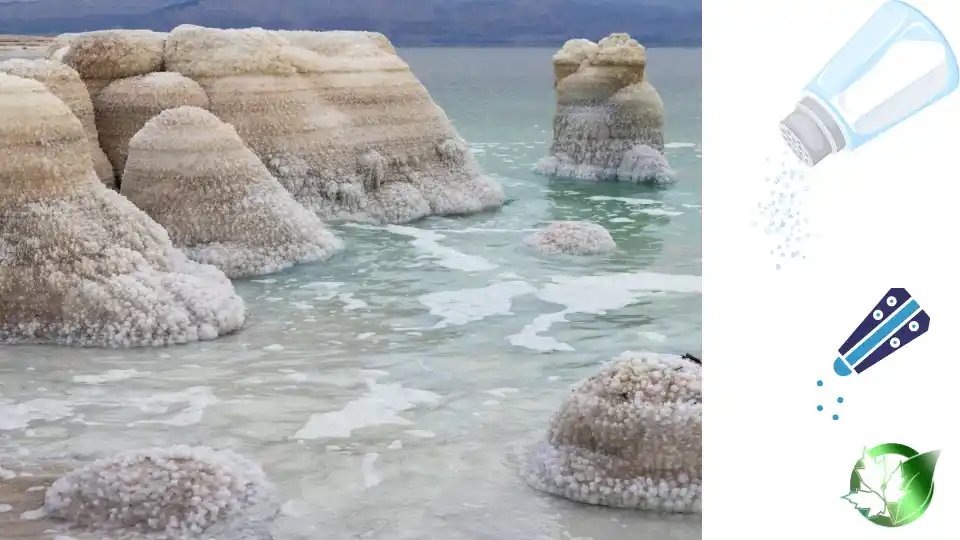 Commercial presentation of Persian Blue Salt for wholesale product evaluation and buyer review.